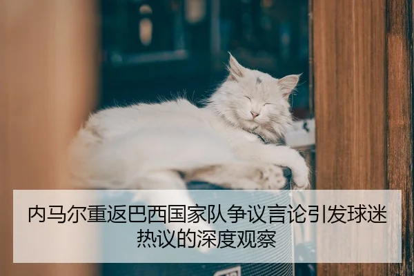 内马尔重返巴西国家队争议言论引发球迷热议的深度观察