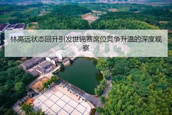 林高远状态回升引发世锦赛席位竞争升温的深度观察
