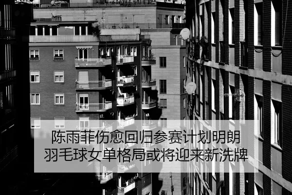 陈雨菲伤愈回归参赛计划明朗 羽毛球女单格局或将迎来新洗牌